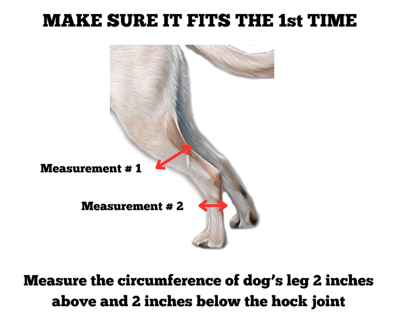 Doggie Stylz Dog Leg Braces for Back Leg Adjustable Dog Hock Brace for ACL Tear Recovery Arthritis Mobility Support Premium Leg Brace for Dogs Back Leg Dog Knee Braces for Back Leg Comfort Stability Medium - PawsPlanet Australia