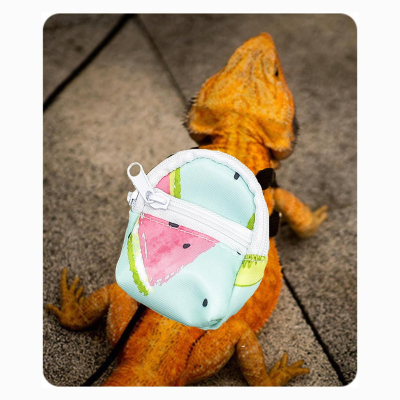 Bearded Dragon Backpack Carrier,Reptile Portable Backpack Carrier with Small Backpack Harness Leash Set,Space Capsule Clear Bubble Window Travel Backpack for Lizard Travel,Guinea Pig,Rabbit Blue New Version Backpack+BP LSH - PawsPlanet Australia
