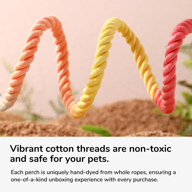 Multi-Color Rope Bird Perch Toys for Parrot Cage Stand, Climbing Swing Accessories for Cockatiel, Parakeets, Budgies, Lovebirds, Conures, Finches - 39.4 inch - PawsPlanet Australia
