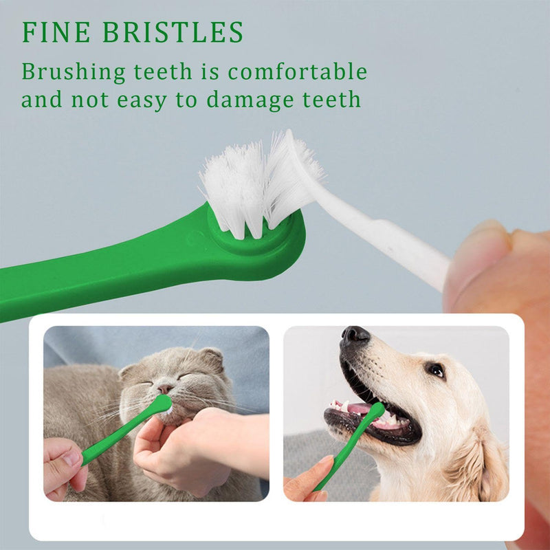 Pack of 6 Pet Toothbrushes and 6 Pieces Transparent Finger Toothbrushes, Teeth Cleaning Tools, Dental Care Supplies, Pet Accessories