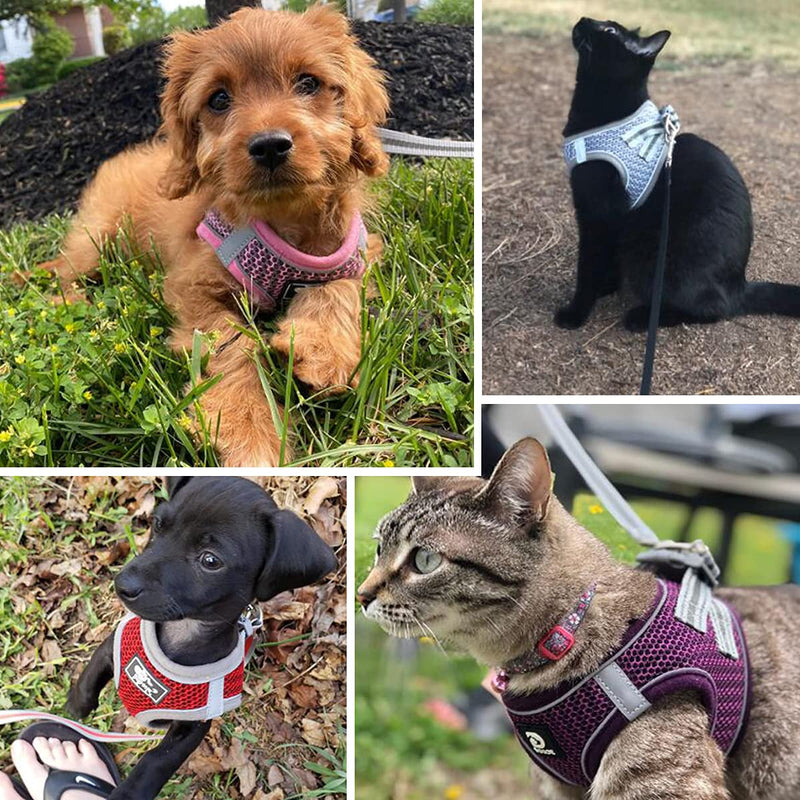 Dog and Cat Universal Harness with Leash - Cat Harness Escape Proof - Adjustable Reflective Step in Dog Harness for Small Dogs Medium Dogs - Soft Mesh Comfort Fit No Pull No Choke (XS, Grey) XS - PawsPlanet Australia