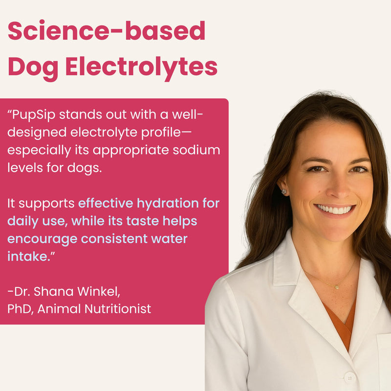 Dog Electrolytes – Hydration Support for Heat, Travel & Exercise – Helps Prevent Dehydration & Encourage Drinking – Water Flavor Enhancer with Electrolytes for Dogs, 12 Sticks