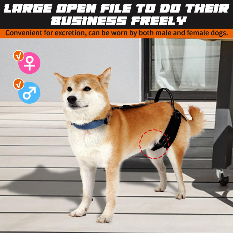 ROZKITCH Pet Dog Support Harness Rear Lifting Harness for Back Legs Reflective Dog Sling Vet Approved for Old Helps with Poor Stability Hind Legs, Joint Injuries Elderly Arthritis ACL Rehab Black M M(Leg Girth: 17.3-22")