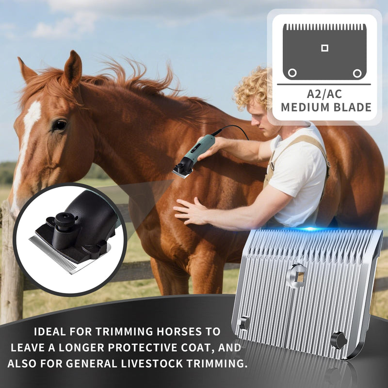 A2/AC Medium Blade Compatible with Lister Star, Legend, Liberty, and Fusion Animal Clippers, Cut Length 3/32 in (2.5 mm), 1 Pack - PawsPlanet Australia