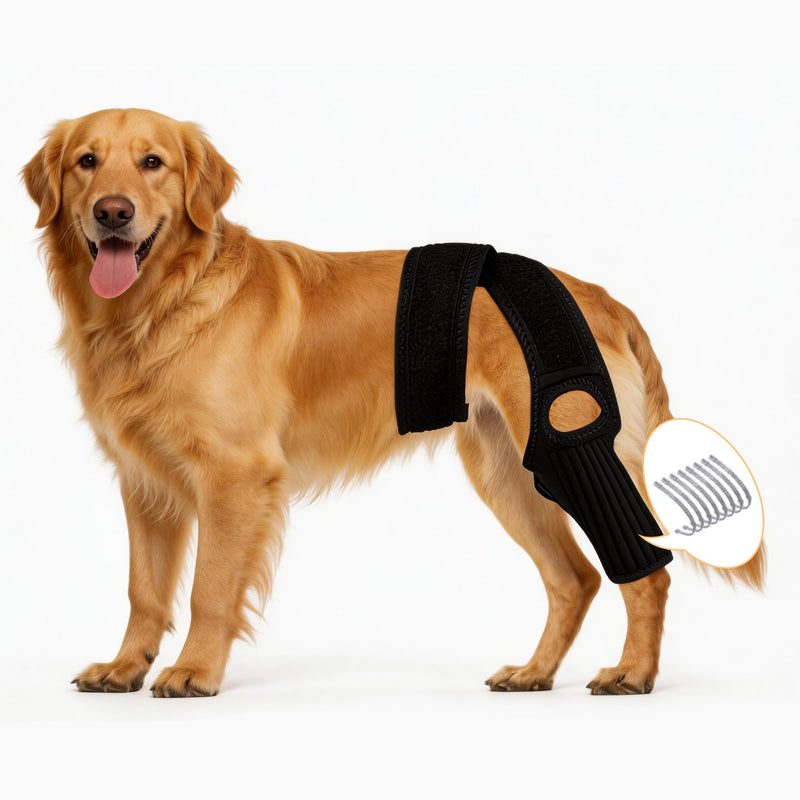 Dog Knee Brace with Side Stabilizers for Joint Support, Adjustable Soft Breathable Leg Braces, Helps with Knee Cap Dislocation, Prevent Licking-Large L