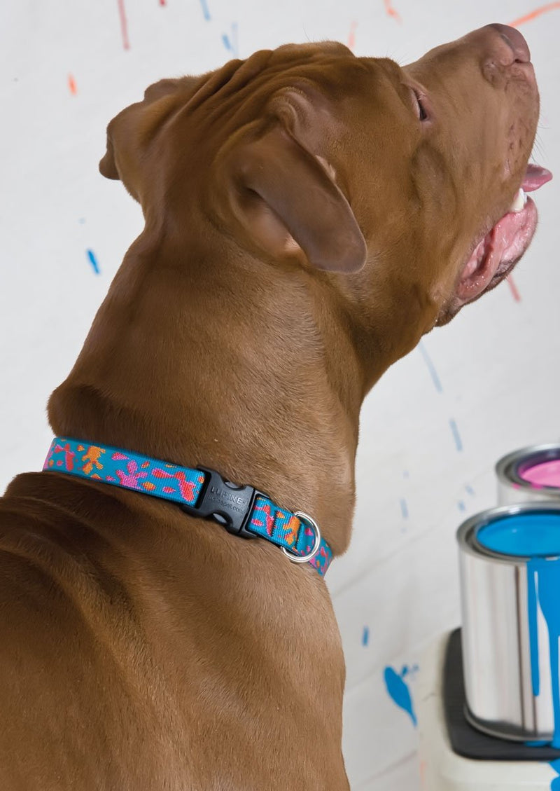 LupinePet Originals 3/4" Wet Paint 13-22" Adjustable Collar for Medium and Larger Dogs