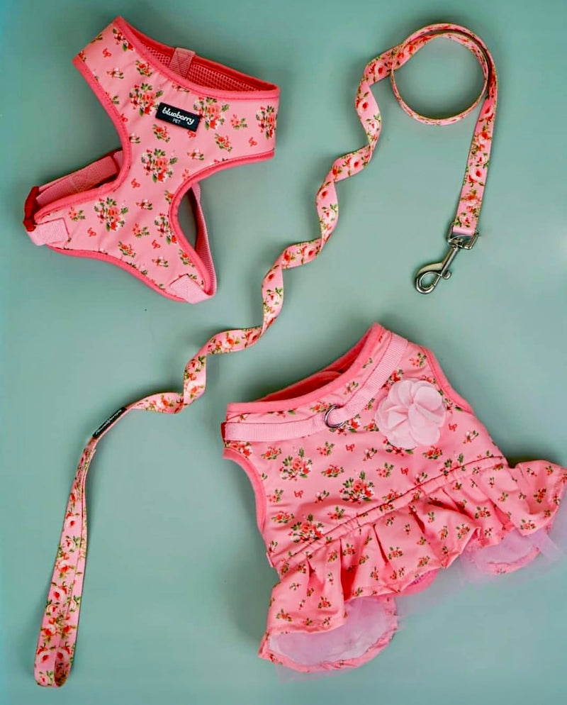 Blueberry Pet Soft & Comfy Floral No Pull Mesh Dog Harness, X-Small, Rose Baby Pink, Dress Harness for Dogs Girl, Small Dog Vest Harness, Fashionable for Puppy Owners X-Small (Pack of 1) - PawsPlanet Australia