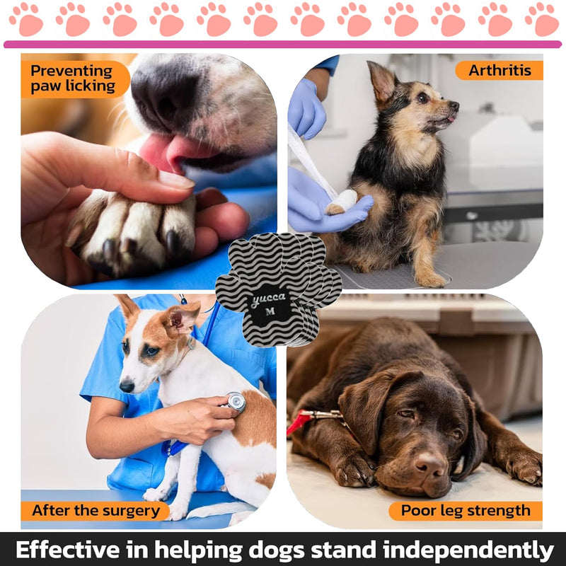 Dog Anti Slip Paw Grips Traction Pads, Dog Paw Protector with Stronger Adhesive, Toe Grips for Dogs from Slipping on Hardwood Floors, Dog Shoes Booties Socks Replacement for Older Dogs XL(41-60lbs)-12*4 Pcs - PawsPlanet Australia