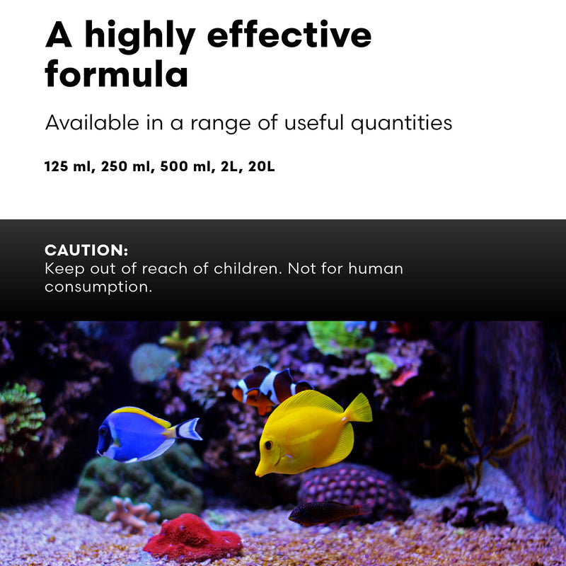 Brightwell Aquatics Rēplenish – Premium Trace & Minor Element Supplement for Marine Aquariums, Supports Healthy Fish, Corals, and Invertebrates, 250 ml 250-ml - PawsPlanet Australia