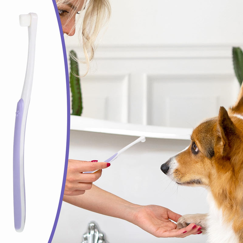 Small Dog Cat Toothbrush Pets Toothbrush Soft Bristle Cat Dental Brush Micro Head Puppy Tooth Brush Deep Clean Kit Portable Cats Dental Care for Puppy Kitten Daily Brushing - PawsPlanet Australia