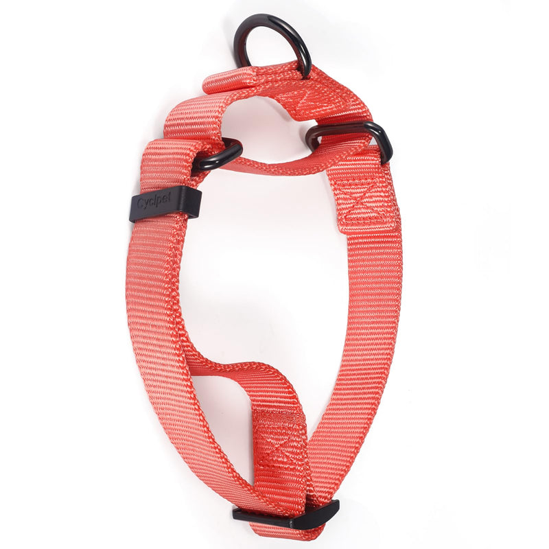 Premium Nylon Adjustable Anti-Escape Martingale Dog Collars,Durable,Comfort and Silky Dog Collar with Hardware D-Ring for Large Dogs Walking,Training,etc...(Living Coral, Large) Living Coral - PawsPlanet Australia