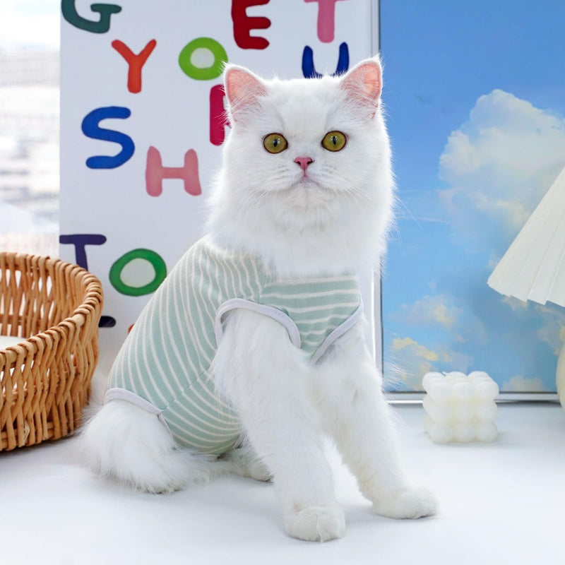 Cat Bodysuit After Surgery, Professional Recovery Suit for Cats After Surgery, Post-Operative Cat Clothes for Abdominal Wounds, Anti-Leak Suit After Castration, Alternative to E-Collar (Green, XS) Green