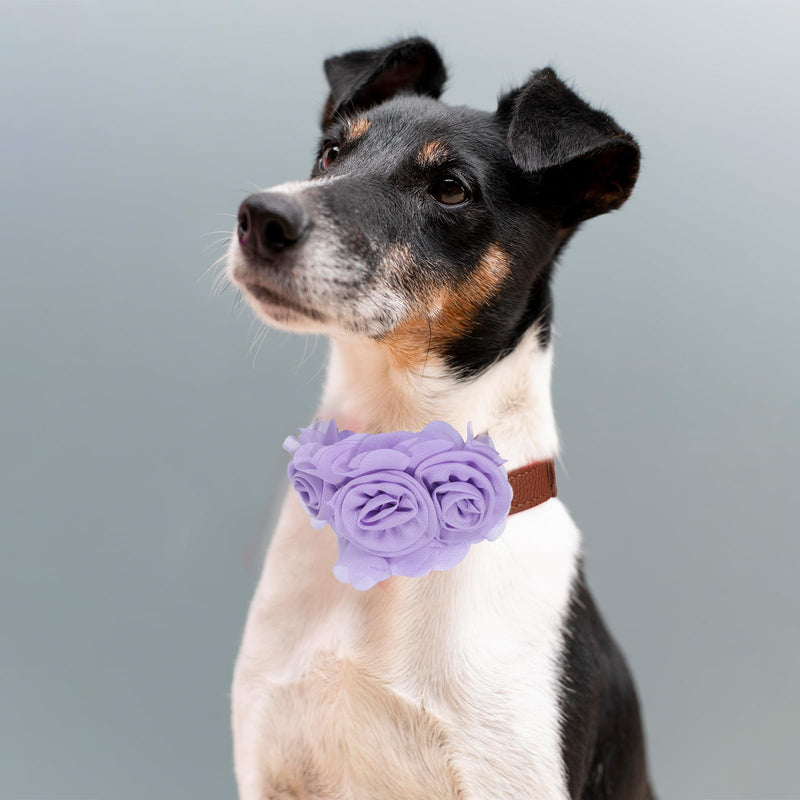 Dog Collar Flowers, 6 Pcs Dog Bows for Large Dogs Puppy Small Medium Big Cat Alpaca Rabbit Pet Dogs Collar Accessories Pet Neck Bows Sliders Grooming Collars Attachment - PawsPlanet Australia