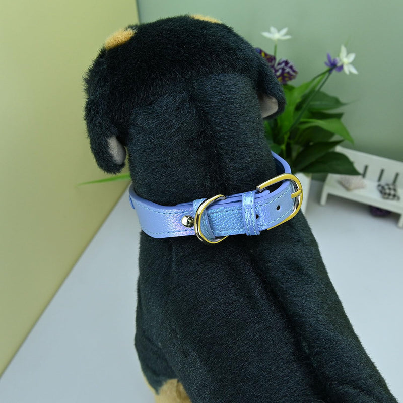 Fashion Cute Dog Collar with a Alloy Heart Shaped Pendant for Small Dogs Cats - Blue - M - PawsPlanet Australia