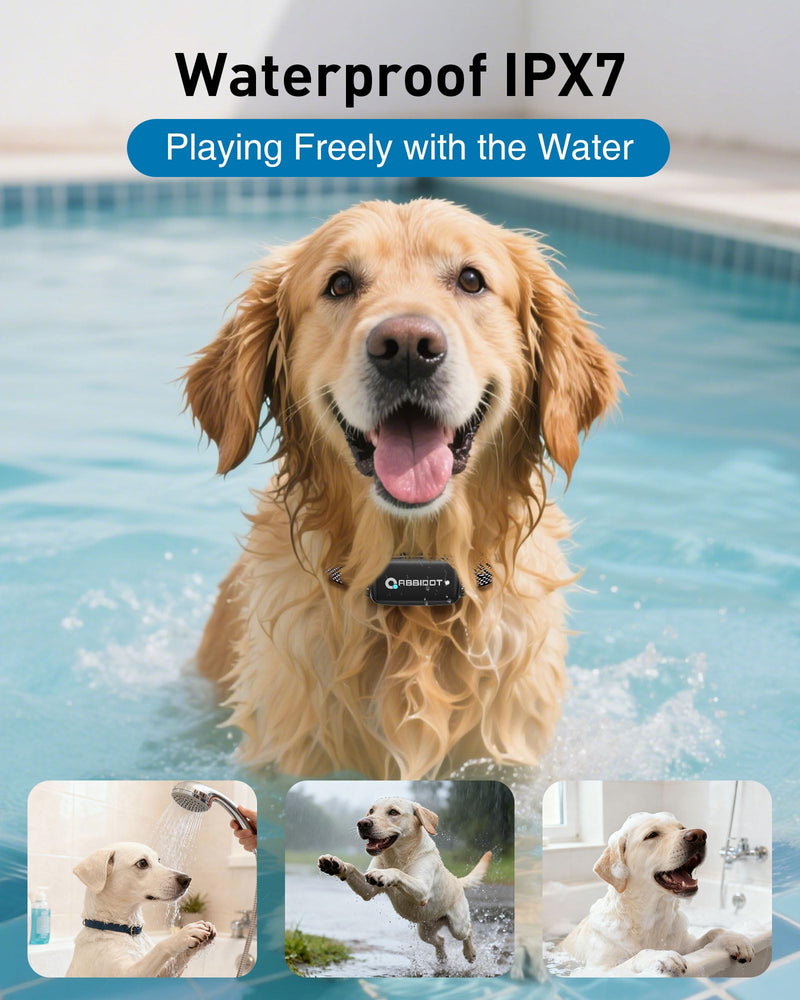 ABBIDOT Shock Collar for Dogs, 3300 FT Dog Training Collar with Remote, IPX7 Waterproof with 4 Training Modes, Rechargeable E-Collar for Small Medium Large Dogs (15-120 lbs) - PawsPlanet Australia