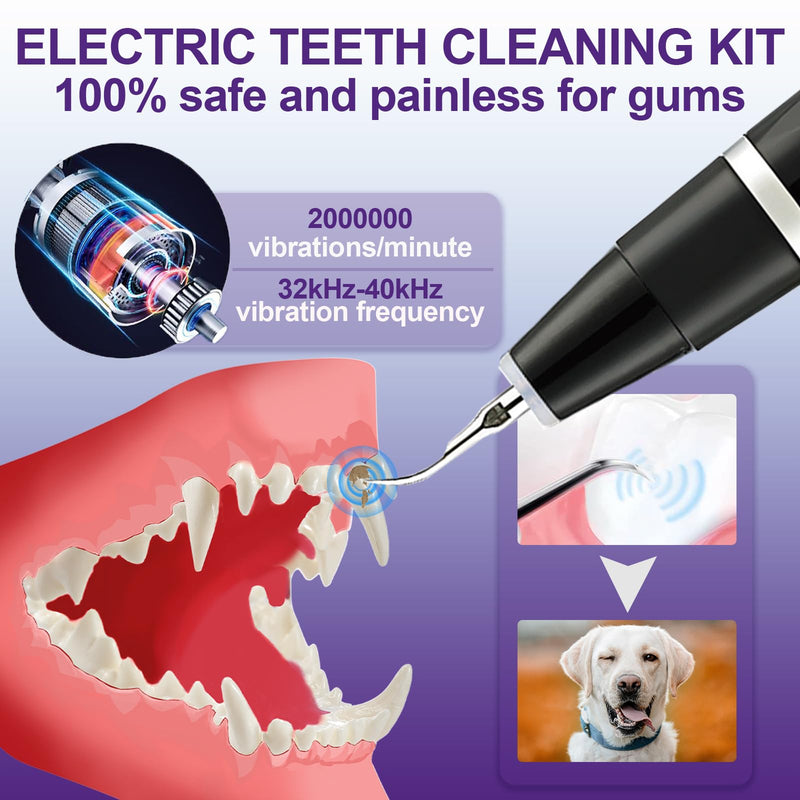 Dog Teeth Cleaning Kit-Dog Tooth Plaque Remover-Ultimate Pet Dental Care Kit - Ultrasonic Teeth Cleaner and Plaque Remover for Dogs | Complete Oral Hygiene Solution-Black Black - PawsPlanet Australia