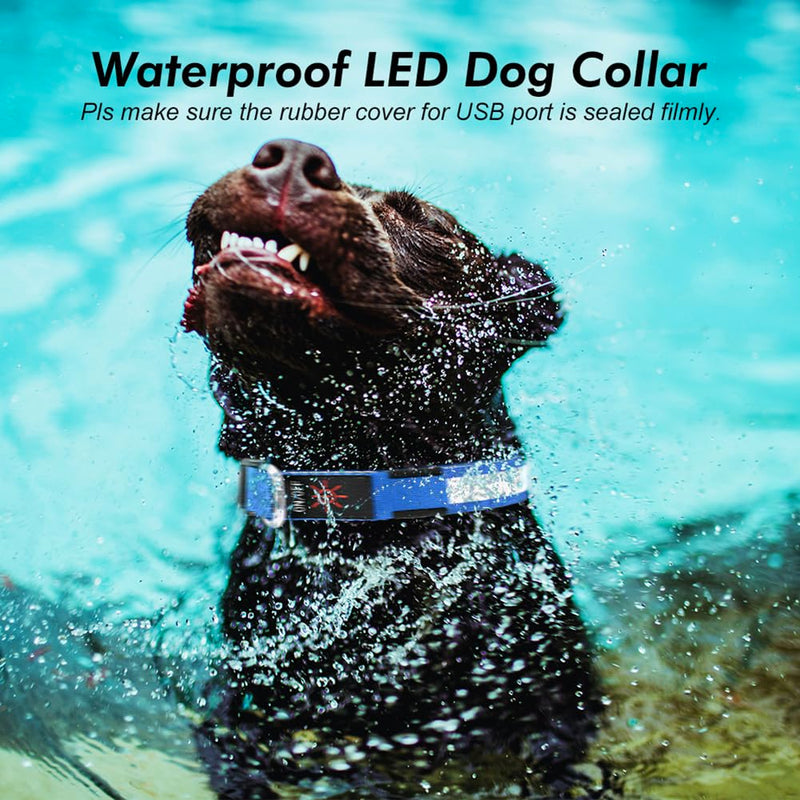 LED Dog Collar, USB Rechargeable Light Up Dog Collars, Adjustable Glow Collars for Dogs,Reusable Safety Dog Collar for Small, Medium, Large Dogs (Blue, Large) Blue - PawsPlanet Australia