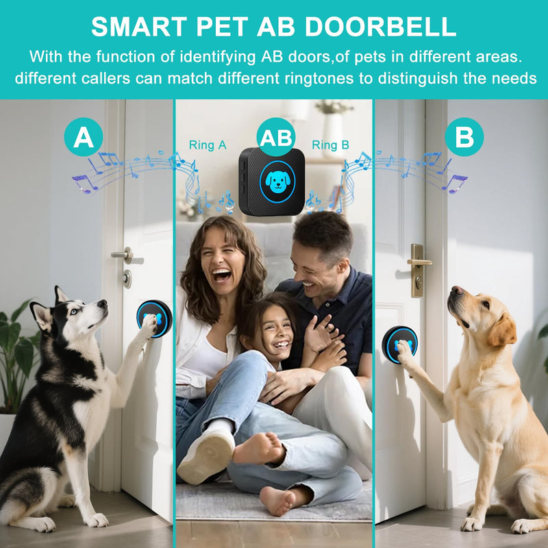 Dog Doorbell to Go Outside, Smart Wireless Doggie Doorbell for Potty Training,1000 Feet Long Range with IP65 Waterproof Super-Light Touch Button, 60 Melodies & Adjustable Volume (2 Button) - PawsPlanet Australia