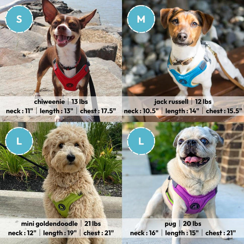 Gooby Escape Free Memory Foam Harness - Purple, Medium - No Pull Step-in Small Dog Harness with Four Point Adjustment - Perfect on The Go Dog Harness for Medium Dogs No Pull and Small Dogs Medium Chest (14.25~21.5") - PawsPlanet Australia