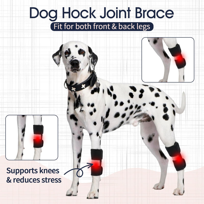 IECOii 1 Pair Dog Front Back Leg Braces,Adjustable Elbow Compression Support Wrap for Ligament Injury,Sprain,Arthritis Relief & Joint Discomfort,Leg Support for Dogs,Dog Hip & Joint Care,Black,Size L Black