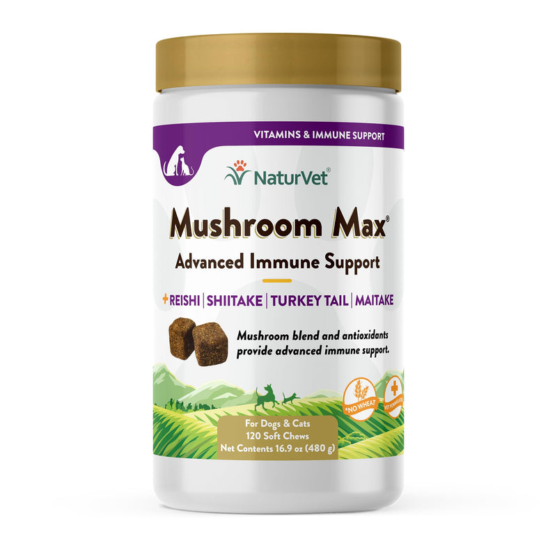 NaturVet Mushroom Max Advanced Immune Support Dog Supplement – Helps Strengthen Immunity, Overall Health for Dogs – Includes Shitake Mushrooms, Reishi, Turkey Tail – 120 Ct. 120 Soft Chews