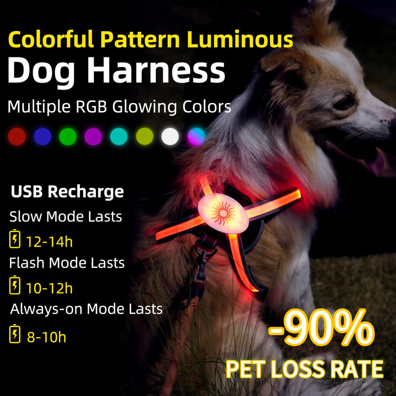 Light Up Dog Harness 2025 LED Dog Harness with RGB Multi-Color Mode & Super Bright TPU Strip, USB Rechargeable, Waterproof, Adjustable Glow in The Dark Harness for Night Walking Safety, Avoid Accident S - PawsPlanet Australia