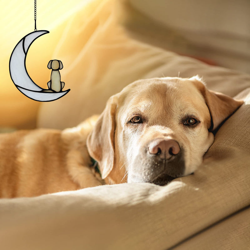 BOXCASA Loss of Dog Sympathy Gift,Stained Glass Dog on Moon for Suncatcher Gifts,Yellow Dog Memorial Gifts for Pet Loss Gifts,Pet Sympathy Gifts for Dogs,Pet Memorial Gifts Dog_A - PawsPlanet Australia