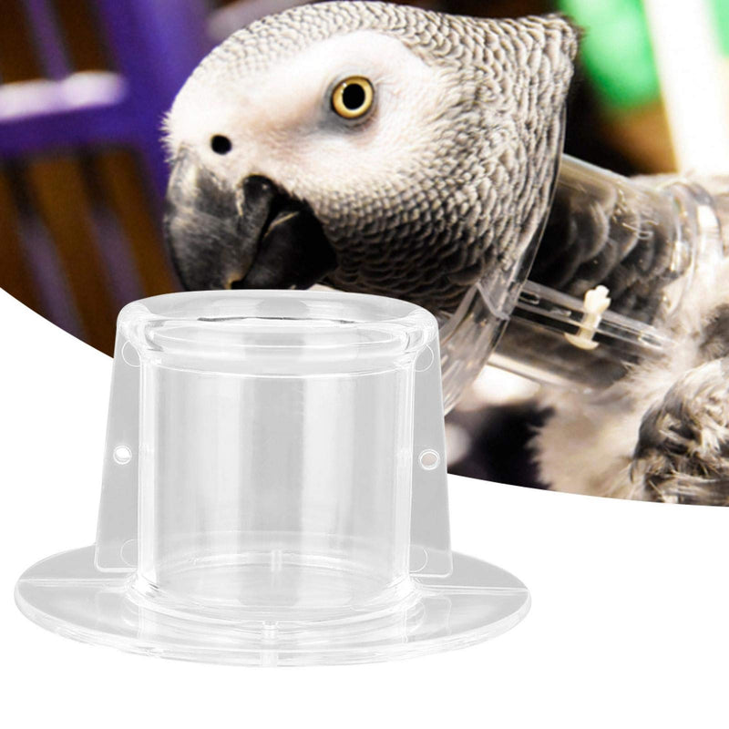 Bird Collar, Bird Recovery Collar Bird Elizabethan Collar Recovery Wound Healing Protective Neck Cover Anti Bite Neck Collar (L) L - PawsPlanet Australia