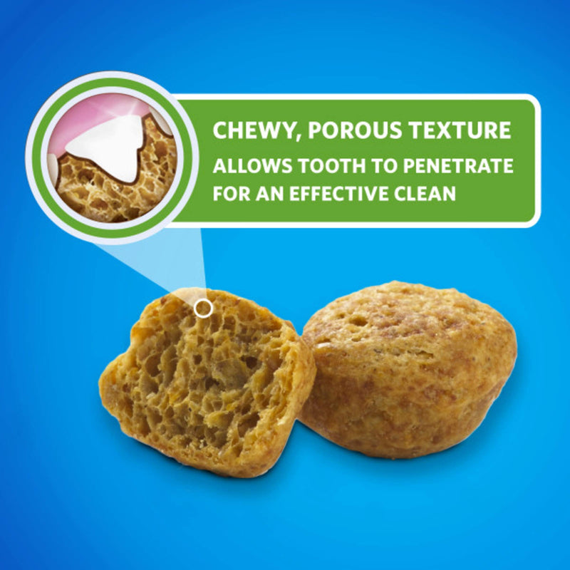 DentaLife Purina Made in USA Facilities Cat Dental Treats, Tasty Chicken Flavor - 19 oz. Canister 1.19 Pound (Pack of 1) - PawsPlanet Australia