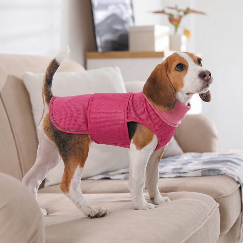 IECOii Dog Calming Shirt,Dog Separation Anxiety Jacket Soft Compression Hoodie for Anxious Dogs Compression Shirt Noise Cancelling Dog Ear Muffs Calming Wrap for Dog Ear Infection Recovery RoseRed XL XL(Chest Girth:26.77"-31.50")
