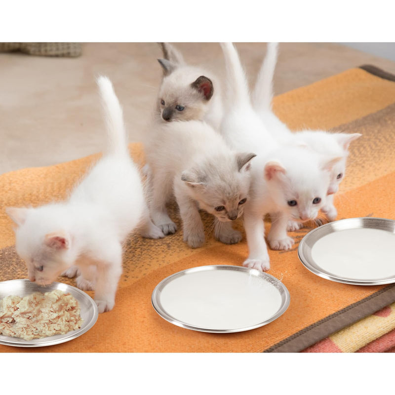 Stainless Steel Cat Dishes for Food and Water Bowls for Kittens and Baby Cats Small Pets Relief of Whisker Fatigue -2 Sets Shallow Style - PawsPlanet Australia