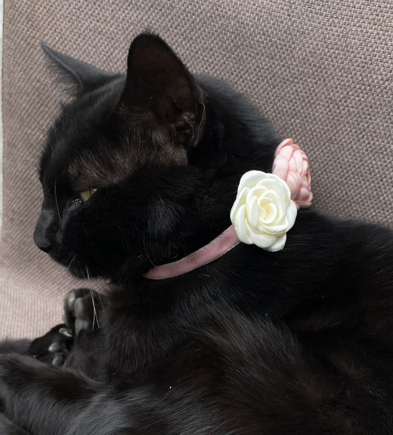 Pink Cat Collars for Girl Cats - Fancy Cat Collar Breakaway with Flowers Adjustable from 7.5" to 11.8" for Girl Kitten Puppy Small Cats Dogs (Pink) Pink - PawsPlanet Australia