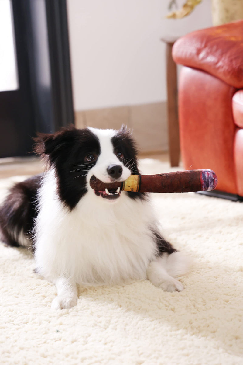 Funny Dog Toy with Interactive Squeaky Sound and Plush Cotton Filled Softness for Small, Medium, and Large Puppies and Dogs, Fun Novelty Play - PawsPlanet Australia