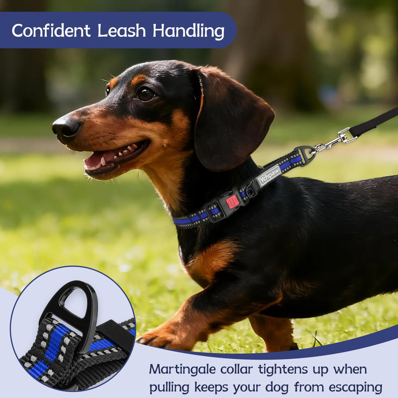 Martingale Collar for Dogs Reflective Collar with Quick Release Buckle, Adjustable Nylon Collars for No Slip Dog Collar, Blue, S Small - PawsPlanet Australia