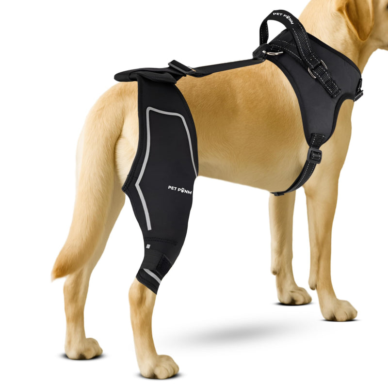 Petpanm- Adjustable Dog Knee Brace- Right Hind Leg with Integreted Harness- Premium Support for Torn ACL, Sprains & Strains Recovery, Enhances Mobility, Comfortable Neoprene - (XLarge). Right leg XLarge