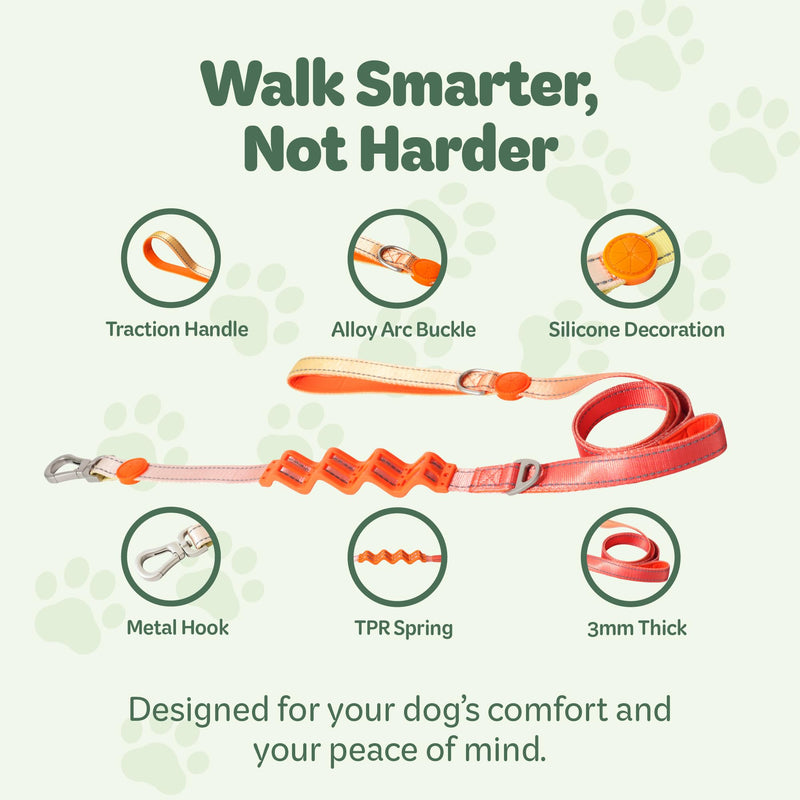 Desired Things Bungee Dog Leash Reflective Training Leash with Shock Absorbent Spring, Emergency Pull Handle, Collar Latch, D-Ring Buckle for Dog Treats, Poop Bags, Puppy Essentials - Pink and Orange - PawsPlanet Australia