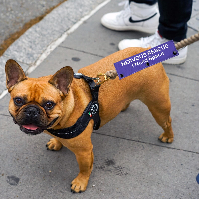 Nervous Dog Leash Sleeve Nervous Rescue Space Dog Leash Wrap Social Distancing Dog Patch (Nervous Rescue Space) - PawsPlanet Australia
