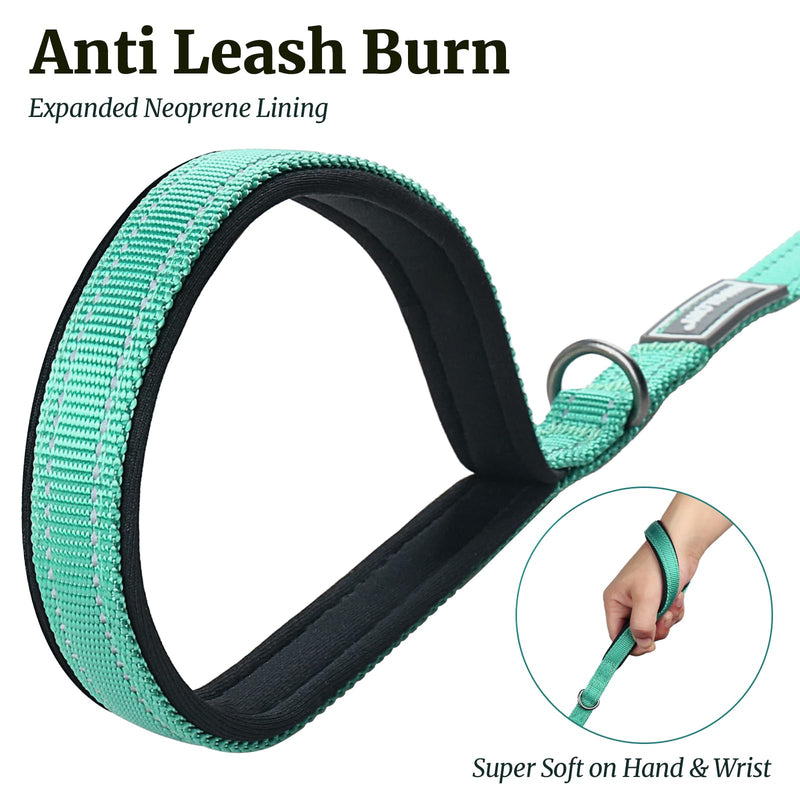 VIVAGLORY Dog Leash Dailyx Pet Leash with Soft Padded Handle for Training & Walking, Heavy Duty & Double Layer Nylon for Pet Puppy, 5ft x 1/2in, Green Leash (5 ft. x 1/2 in.)