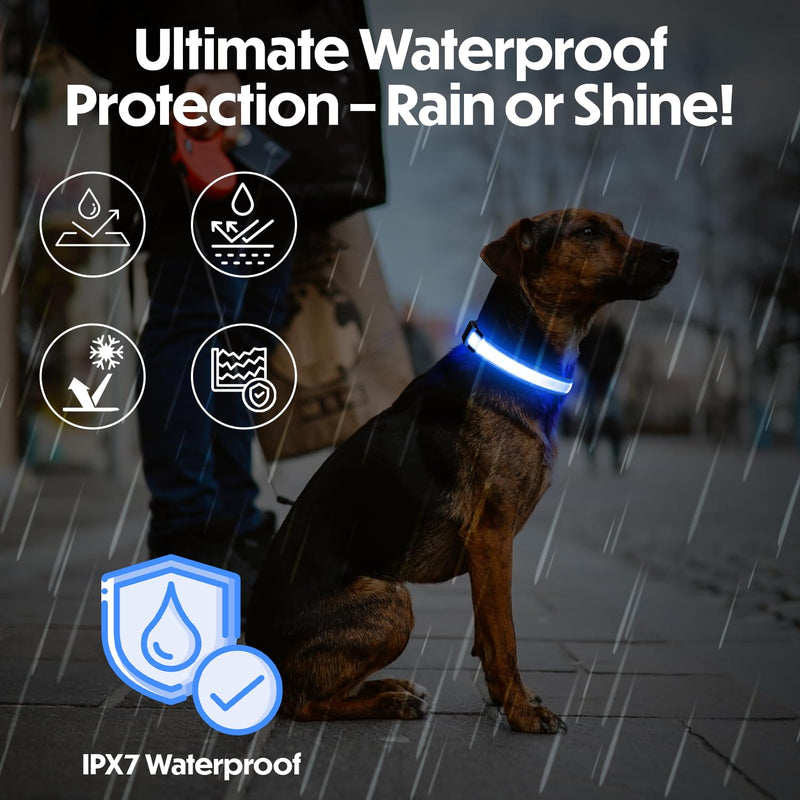 Light Up Dog Collar – Reflective, Adjustable & Rechargeable Electronic Glow Pet Collars – Bright, Comfortable, High Visibility LED Dog Collar for Night Safety, Outdoor Walk & Flashing Fun, Blue, Small