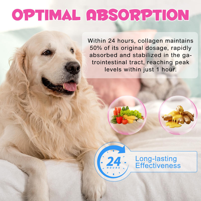 Liquid Collagen for Dogs – Daily Skin, Coat & Joint Support Collagen + | Promotes Mobility, Elasticity & Everyday Vitality | 60 ml Dog Supplement 1PC