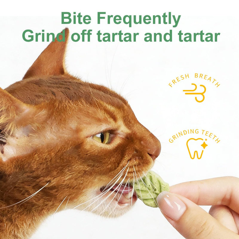 Cat grass snack, cat grass snacks for indoor use, freeze-dried cat grass for cats, cat grass teething stick, freeze-dried cat snacks, catnip, for dental care and hair tangle removal