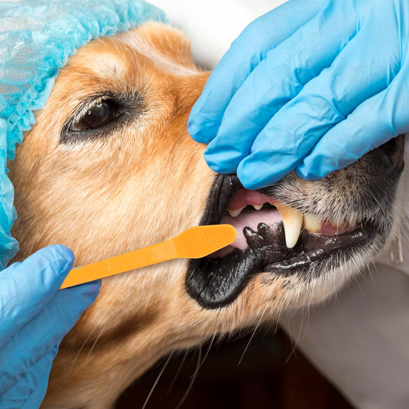 Toyvian 10-piece Toothbrush for Dogs with Soft Bristles for Gentle Teeth Cleaning and Gum Massage. Portable for Small Puppies and Cats