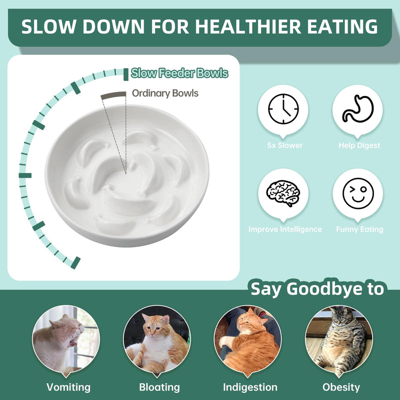 Ceramic Cat Slow Feeder Bowl - Pastel Series Slow Feeding Cat Bowls - Cute Maze Cat Food Plate for Healthy Eating - Fun Cat Puzzle Feeder Dish - Dishwasher Safe - 6.3''W x 1.2''H - 7 OZ - Ivory White - PawsPlanet Australia