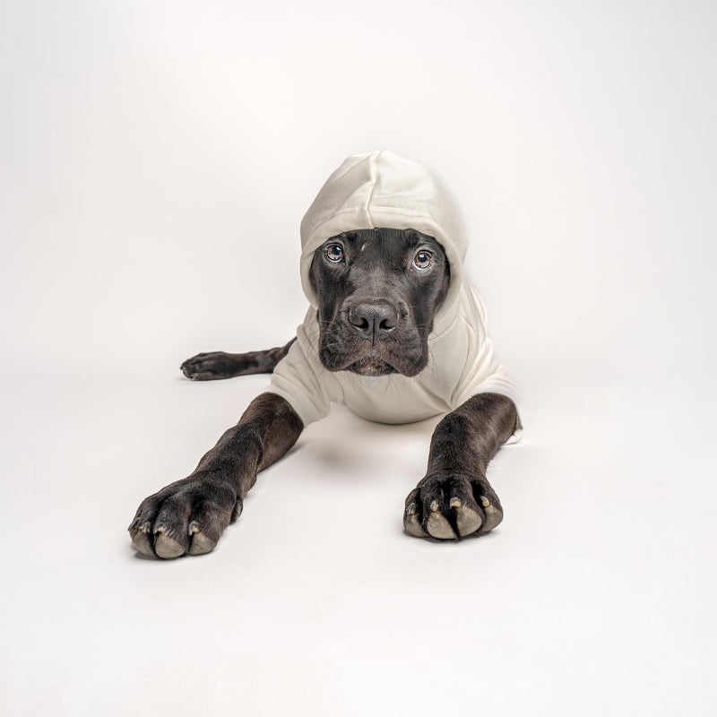 Love My Grandma Valentine's Day Dog Hoodie Fleece Lined Pullover Sweatshirt with Leash Hole (Grey, X-Large 399) - PawsPlanet Australia