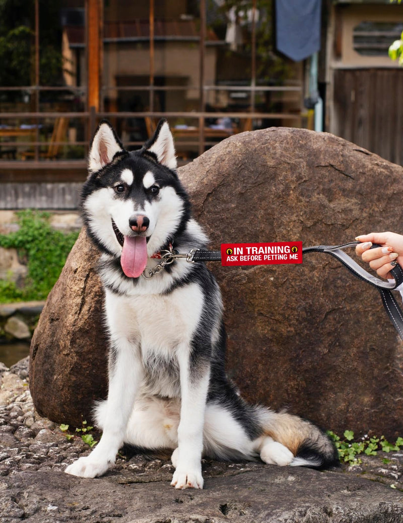 Advivio in Training Ask Before Petting Funny Dog Leash Sleeve, Service Dog Alert Hanging ID Patch Tag, in Training Leash Wrap for Pet Birthday Gift - PawsPlanet Australia