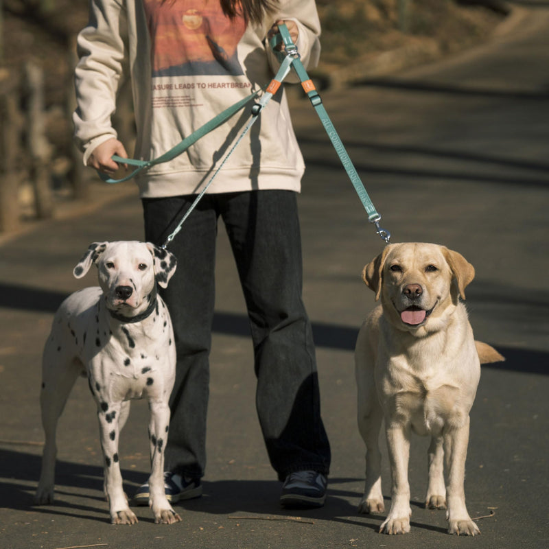 HOWGO Double Dog Leash, No Tangle Dual Dog Leash, Super Lightweight Adjustable Dual Padded Handles, Multiple Leash for 2 Dogs, Double Clip Dog Leash Coupler (Mint Green, Double leash w/Handle) Mint Green