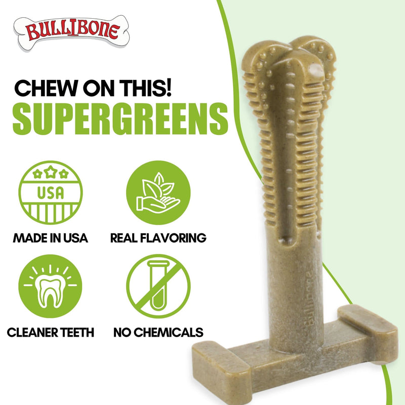 Bullibone SuperBrush: Dog Teeth Cleaning Brushing Toothbrush Stick - Long Lasting Nylon Chew Toy for Oral Care and Dental Health Super Greens - Single Large - PawsPlanet Australia
