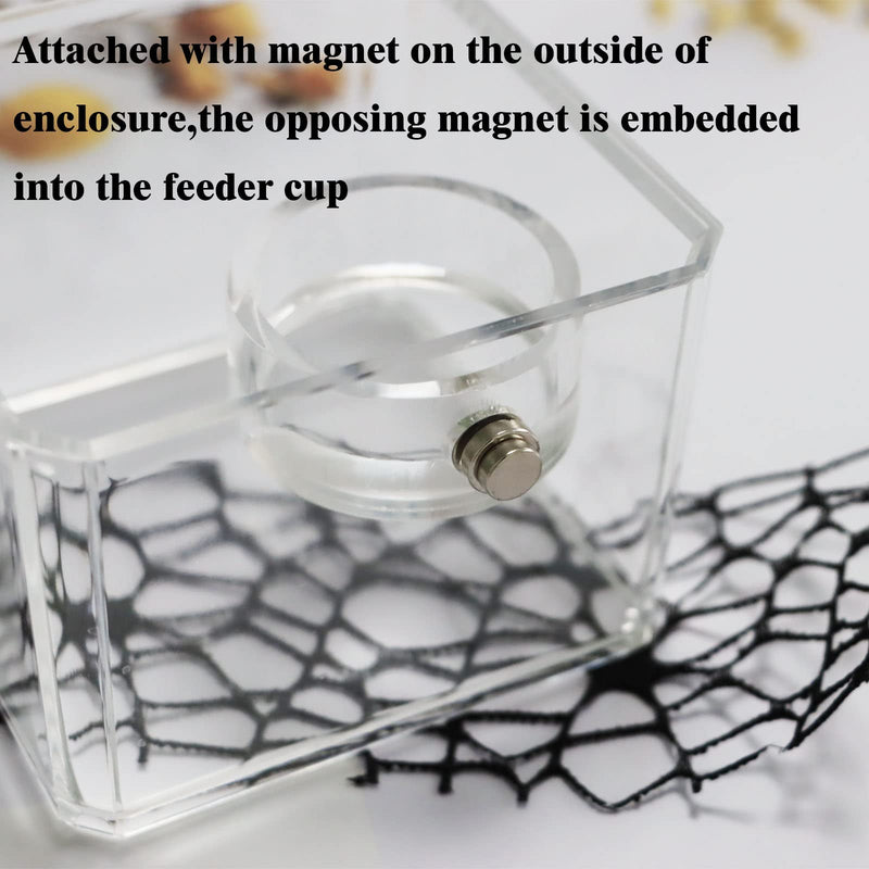 2Pcs Jumping Spider Feeding Dish, Magnetic Tiny Food Dishes Water Dish for Jumping Spider, Tarantula and Other Small Pets,Transparent - PawsPlanet Australia