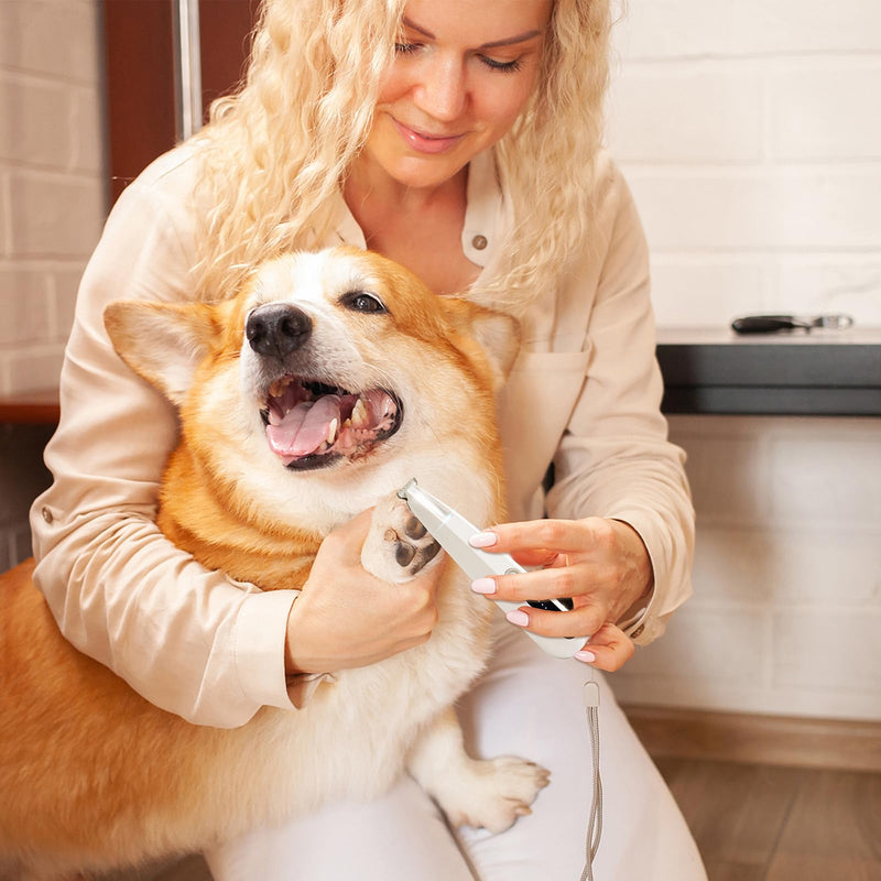 2025 New 2 Mode Paw Trimmer for Dogs & Cats - Electric Quiet Dog & Cat Grooming Trimmer, Rechargeable Clipper with LED Light, 2 Blades, Waterproof for Paws/Ears/Face White(2 Mode) - PawsPlanet Australia