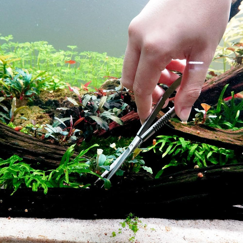 LINLAN Aquatic Plant Spring Scissors for Precise Trimming, Stainless Steel with Top Rebound Feel, Ideal for Aquatic Ferns and Microsorum Pteropus in Planted Tanks Straight - PawsPlanet Australia